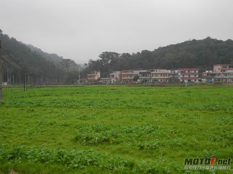 06.JPG