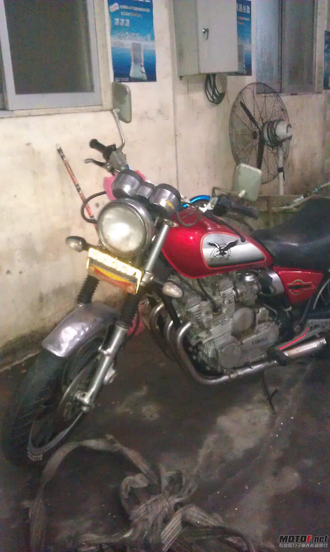 IMAG0113.jpg