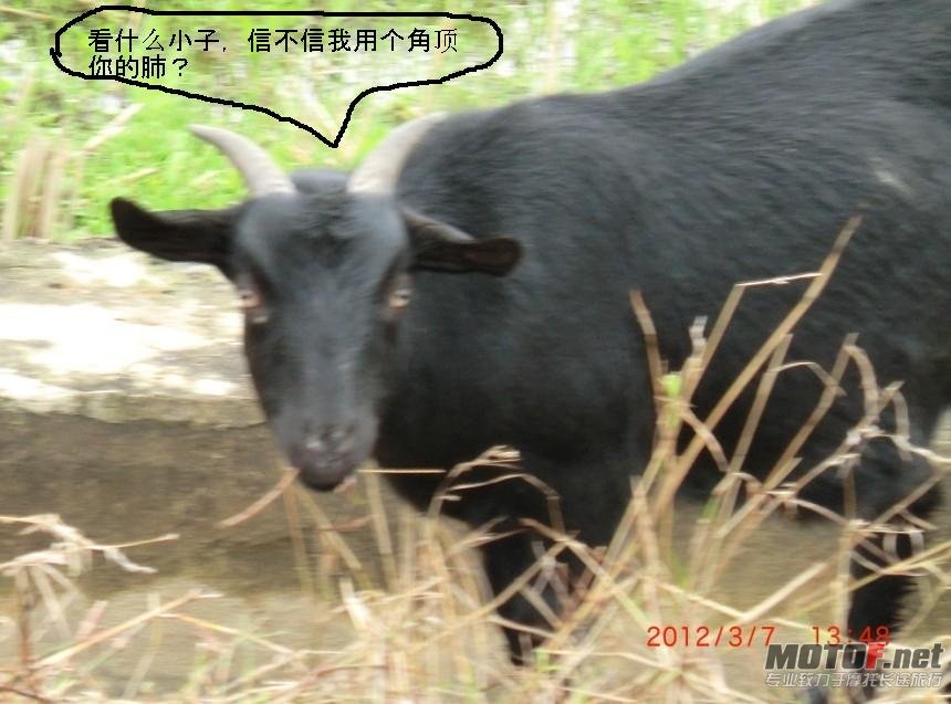 CIMG0609.JPG