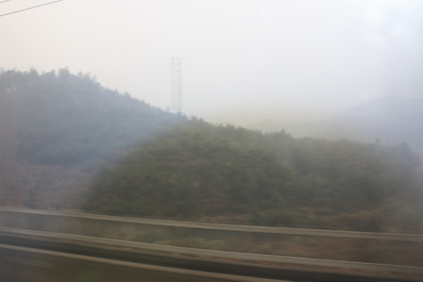 武汉三曰行 004.jpg