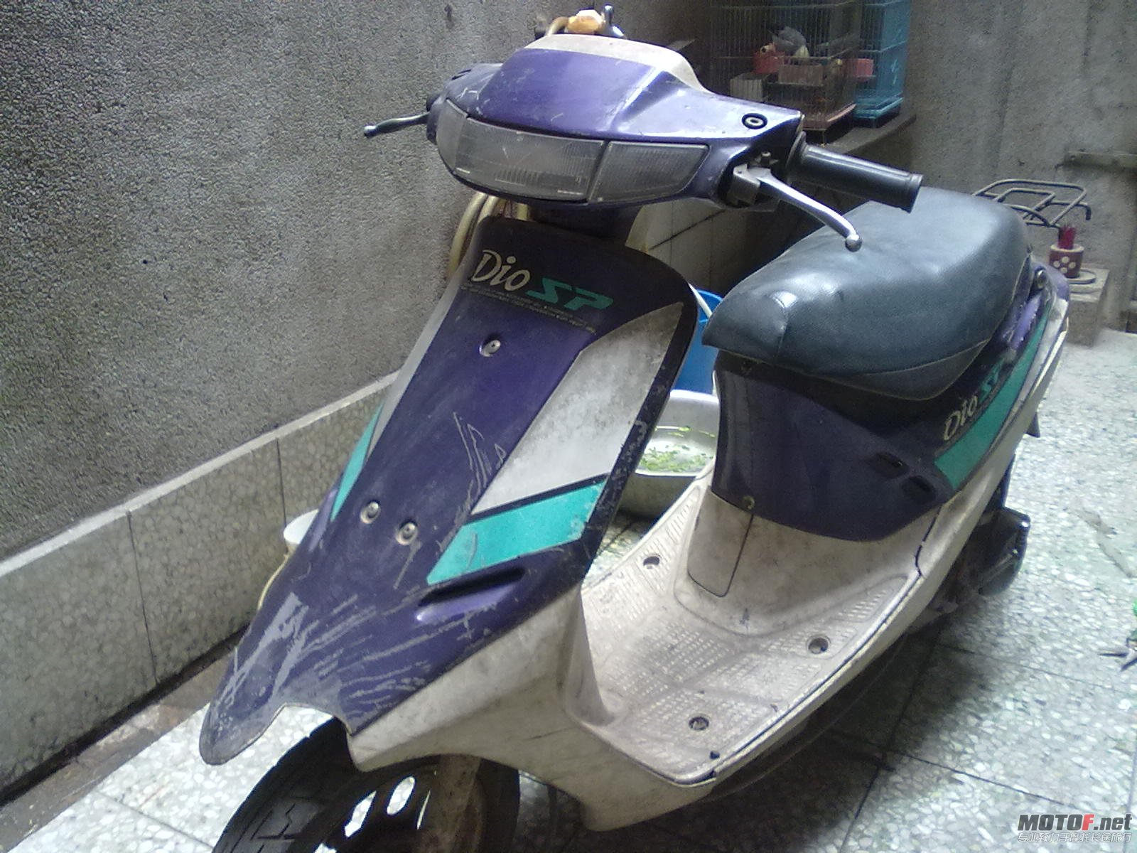20110118211.jpg