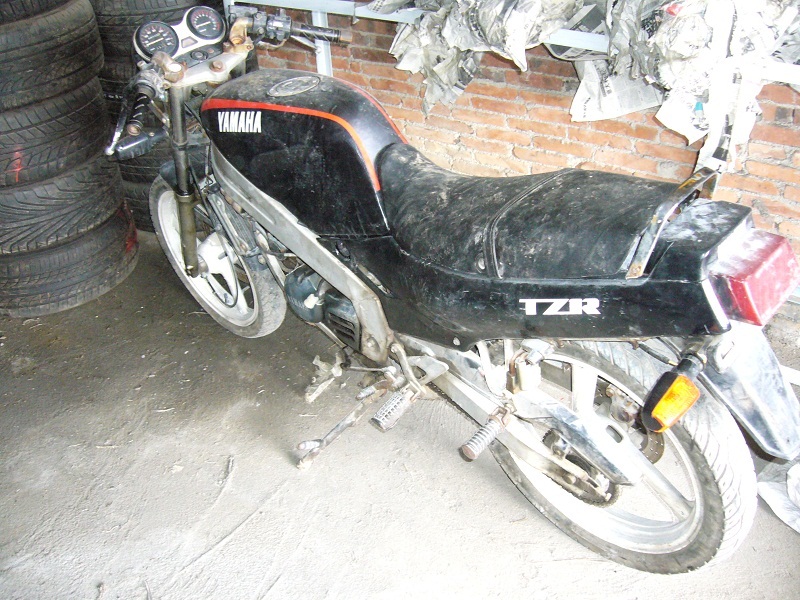 P1100674.JPG