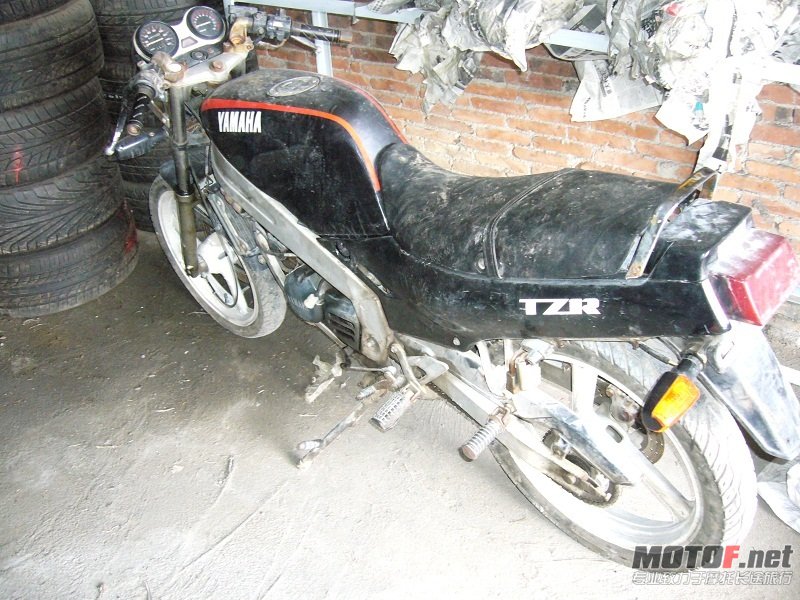 P1100674.JPG