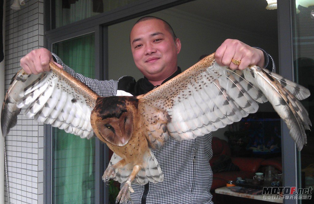 QQ截图20120313000521.jpg