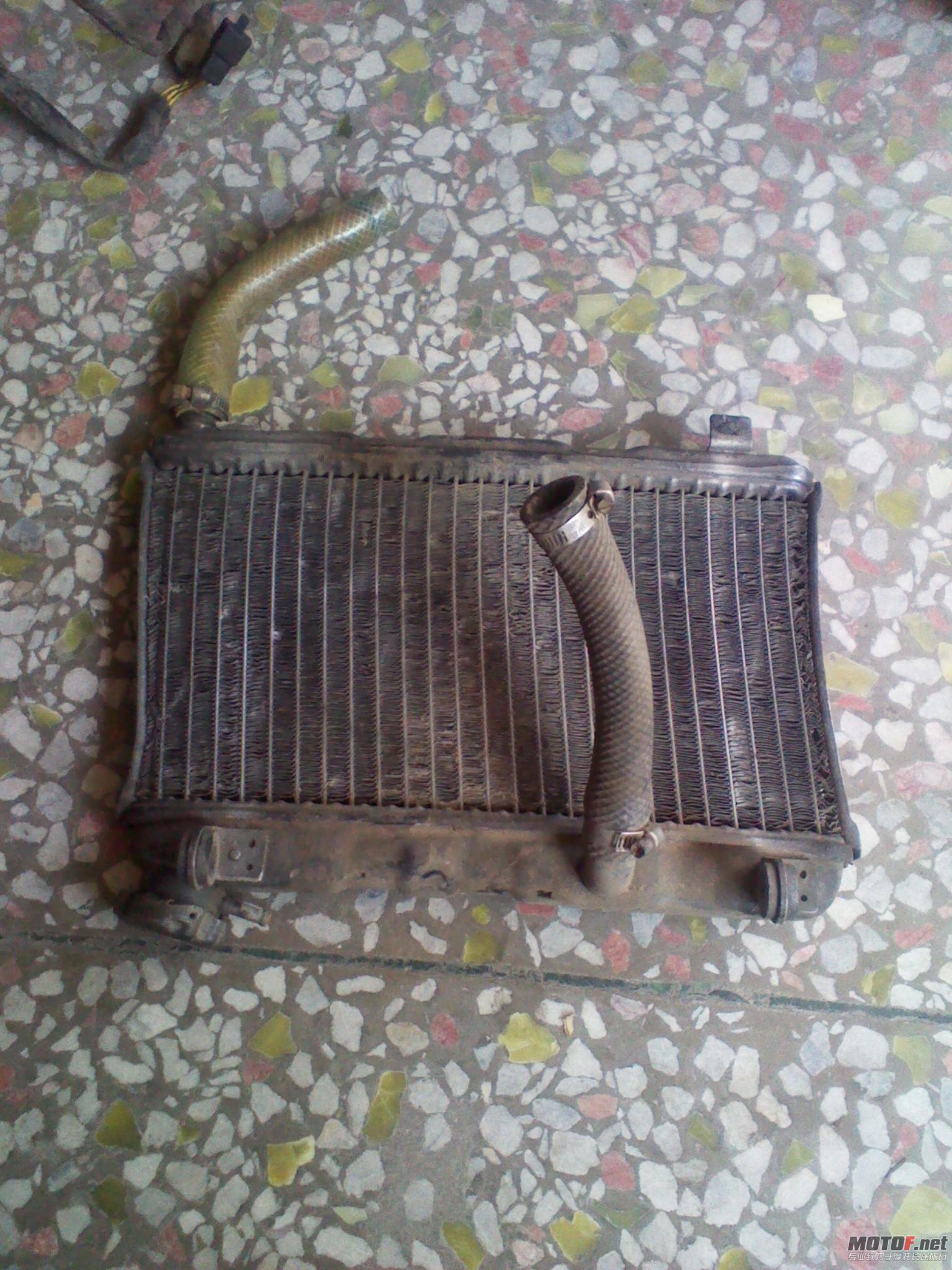 2011-11-15 13.28.23.jpg
