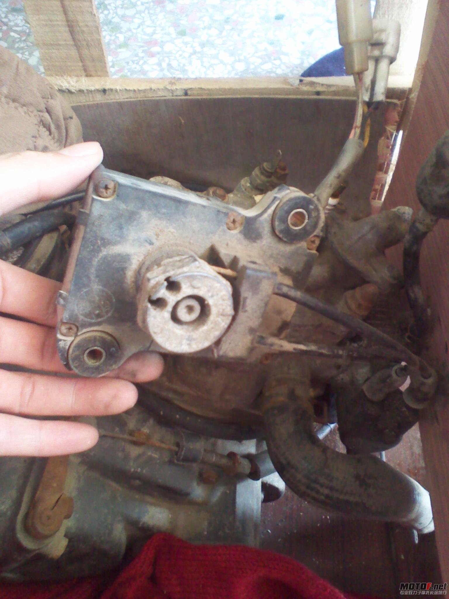 2011-11-15 13.31.01.jpg