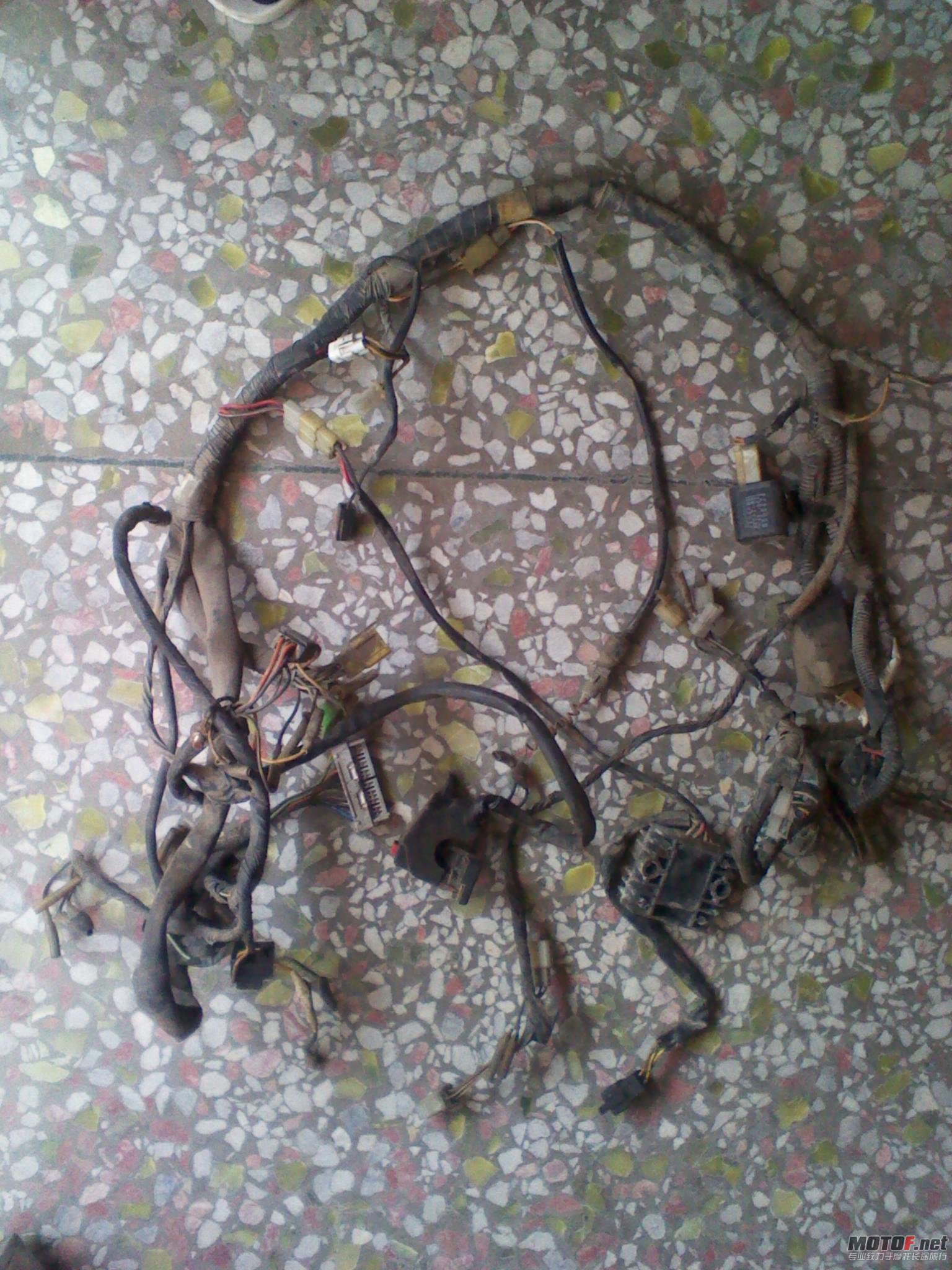 2011-11-15 13.28.59.jpg