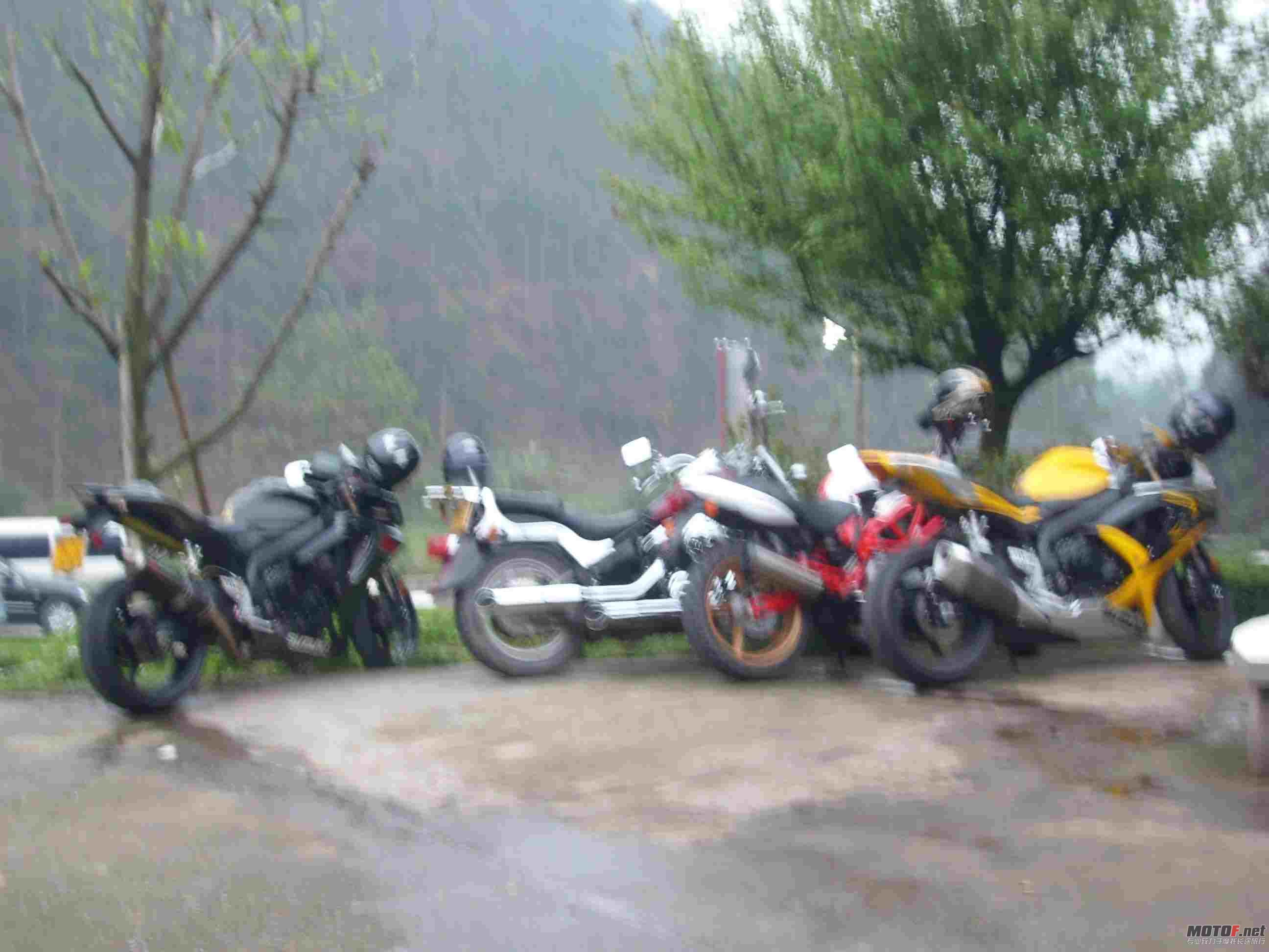 SL732754.jpg