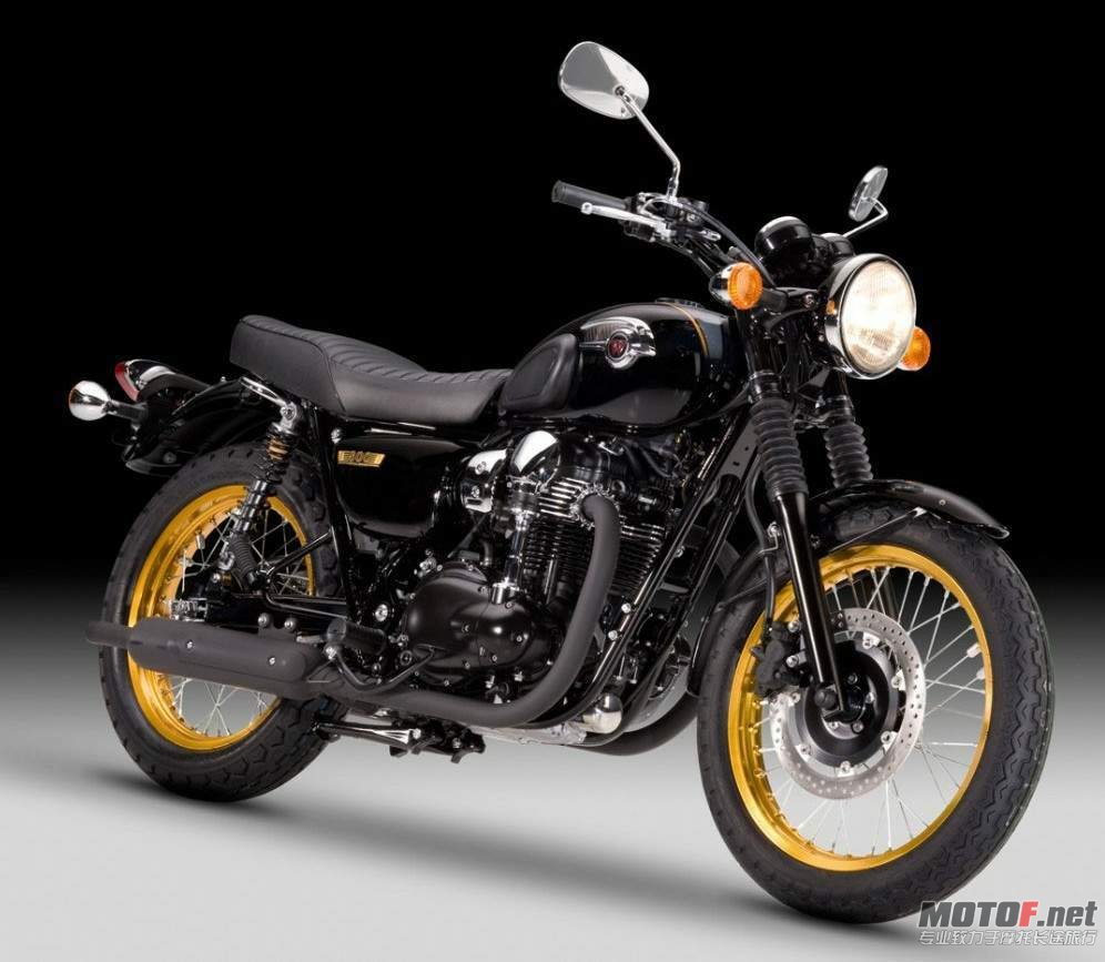 Kawasaki W800 Special Edition.jpg