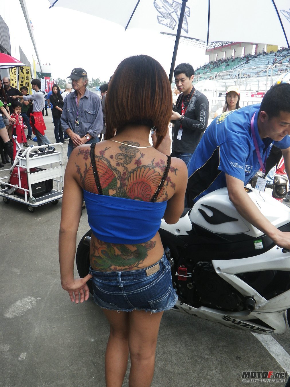 IMGP2979.JPG