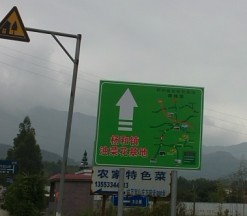 99785.jpg