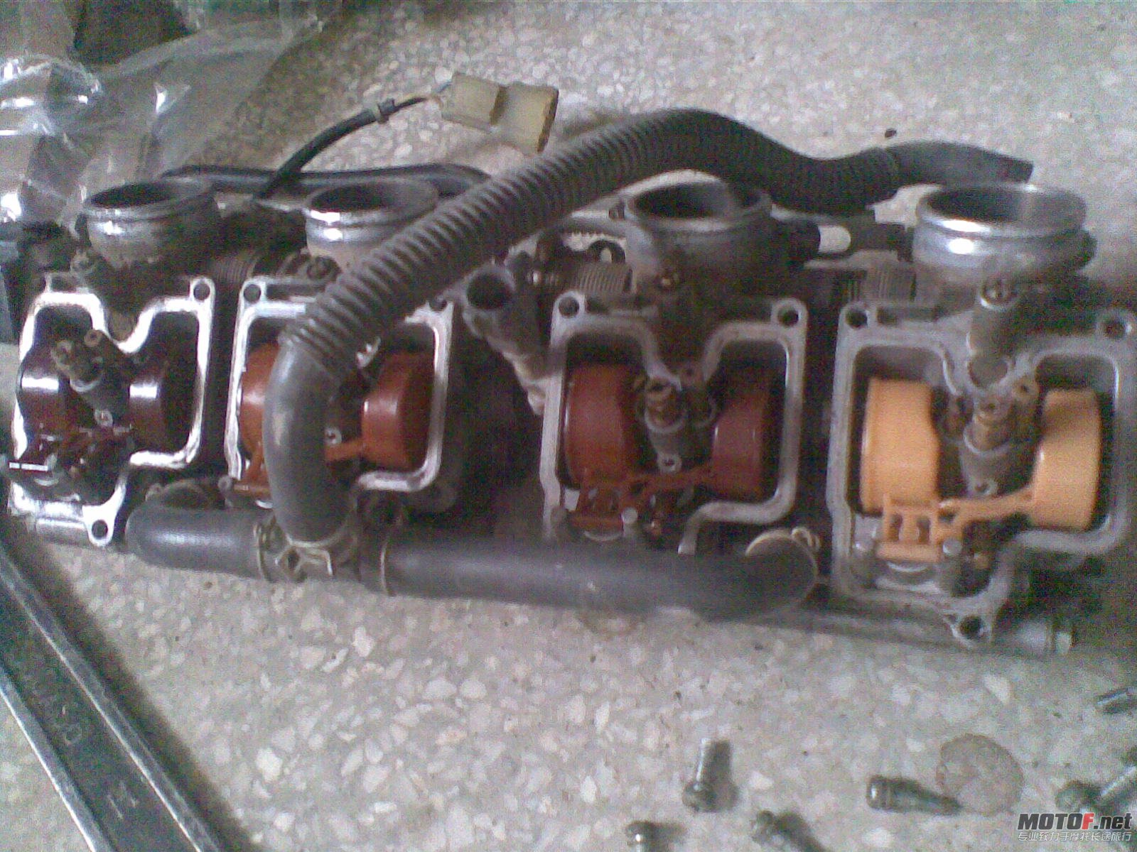 20120322_004.jpg