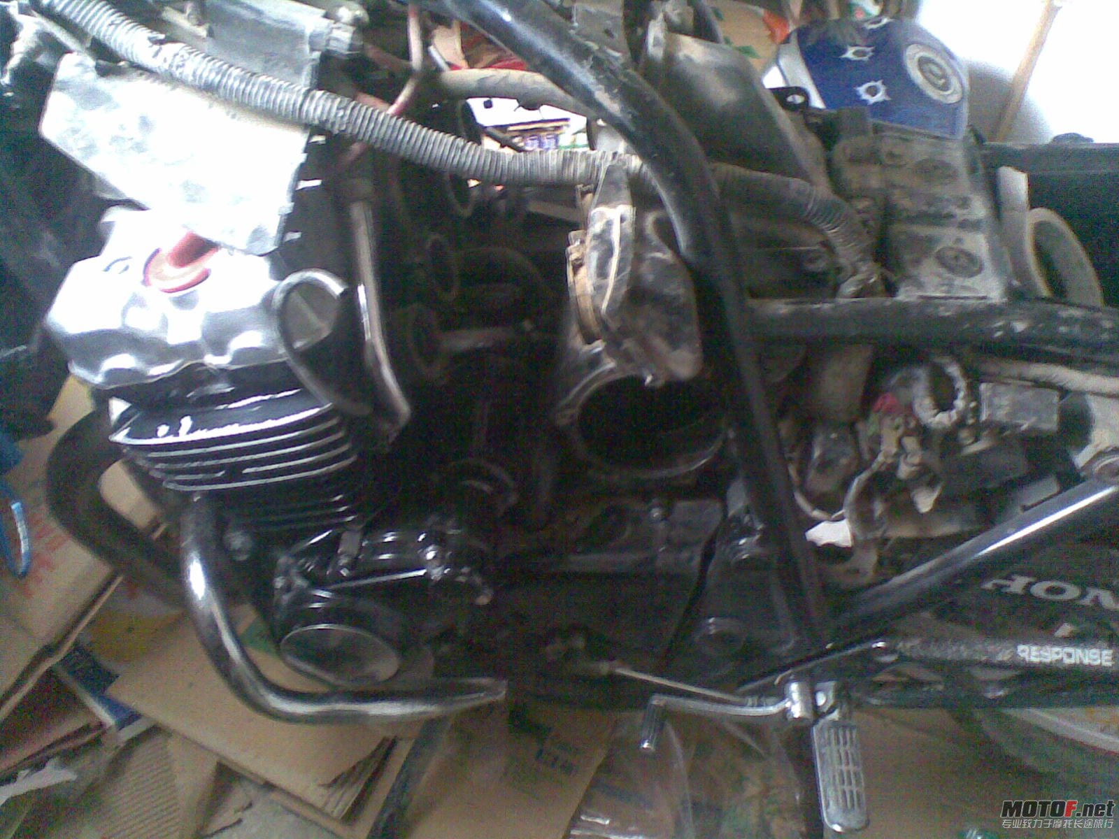 20120322_006.jpg