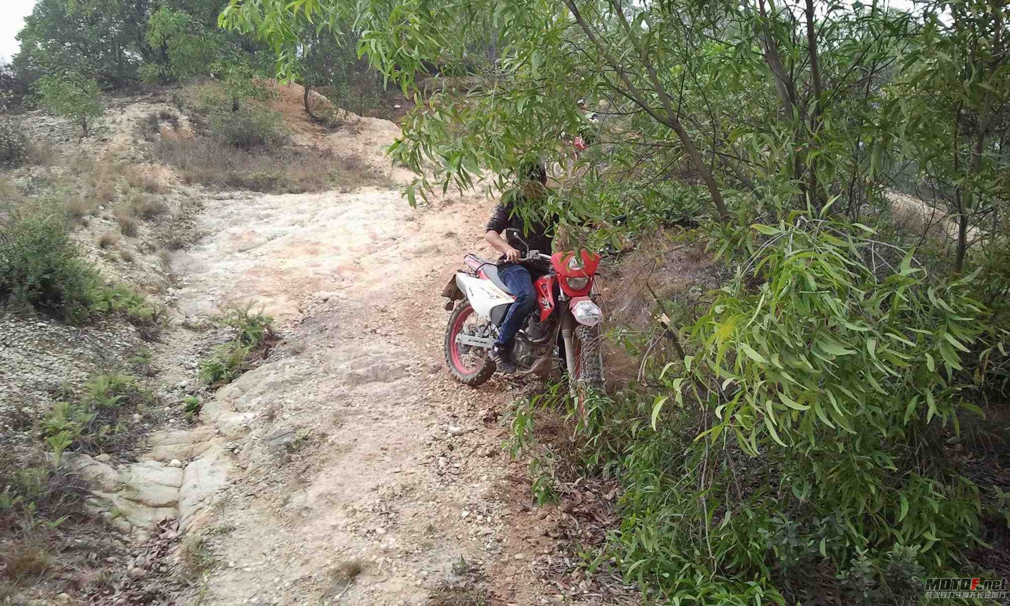 2012-03-20 13.51.41.jpg