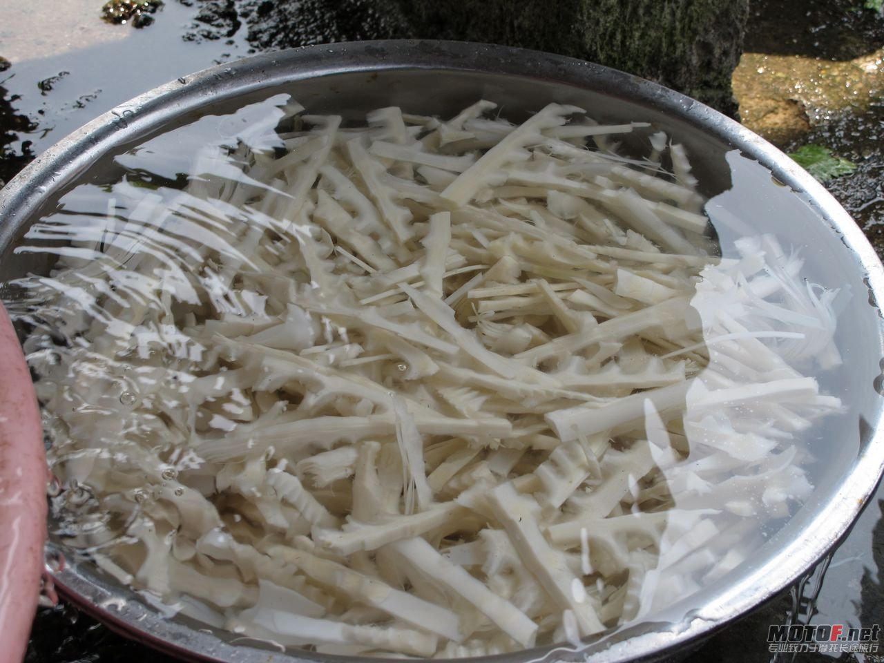 照片 031.jpg
