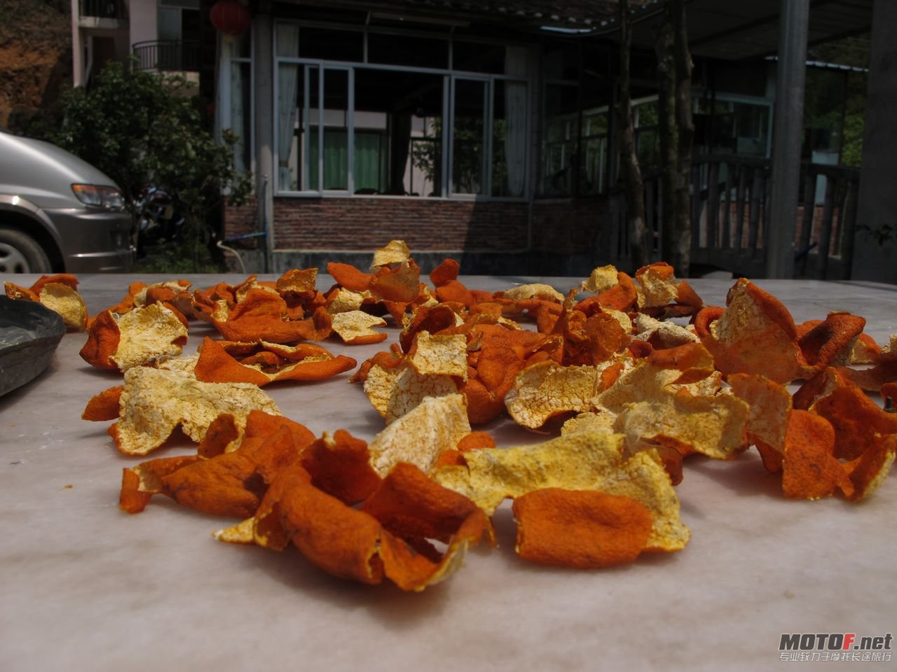 照片 036.jpg