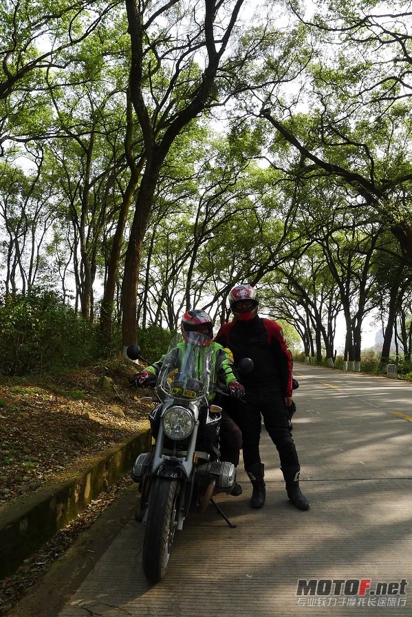 P1020785.jpg