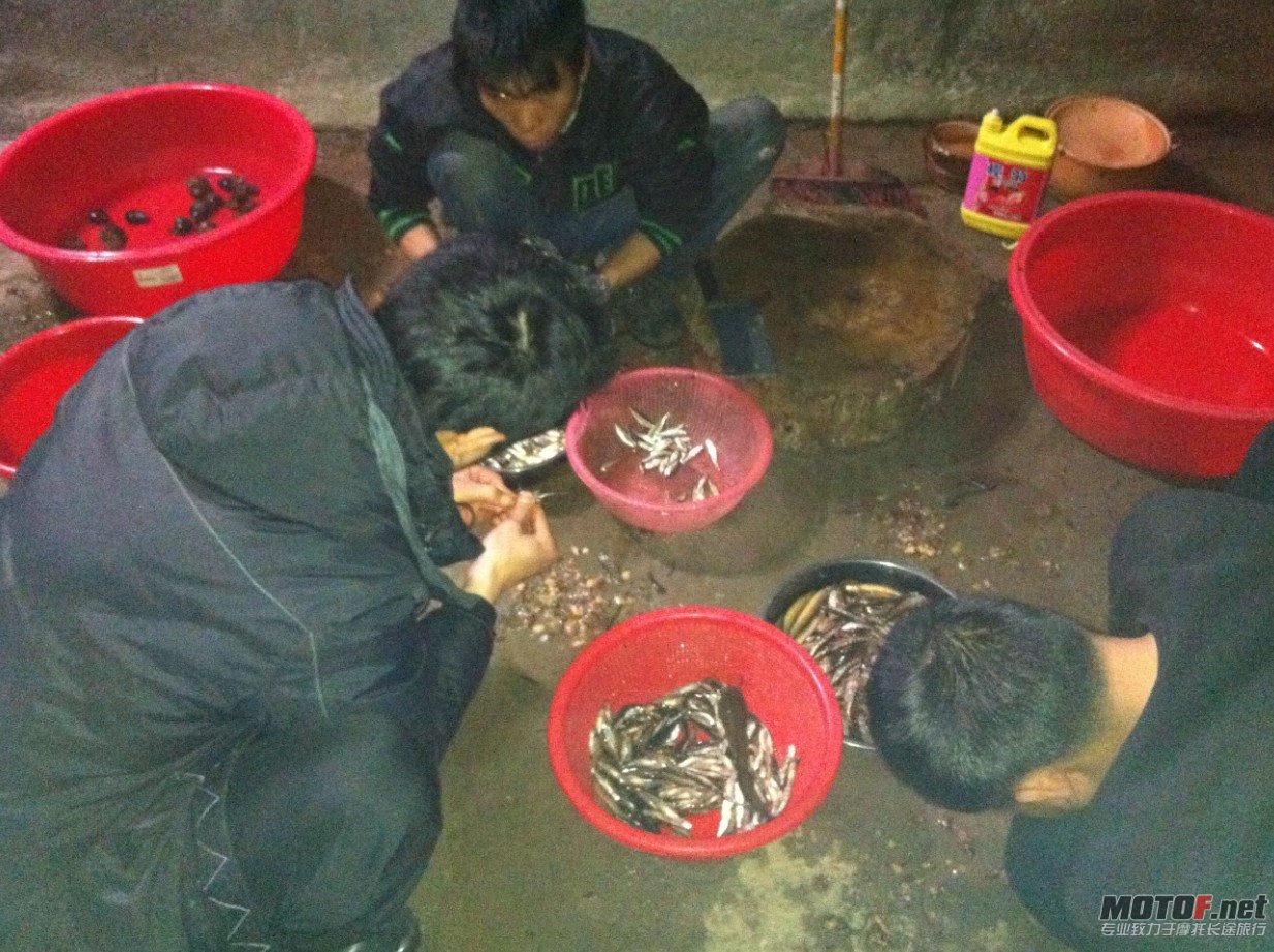 QQ4.jpg