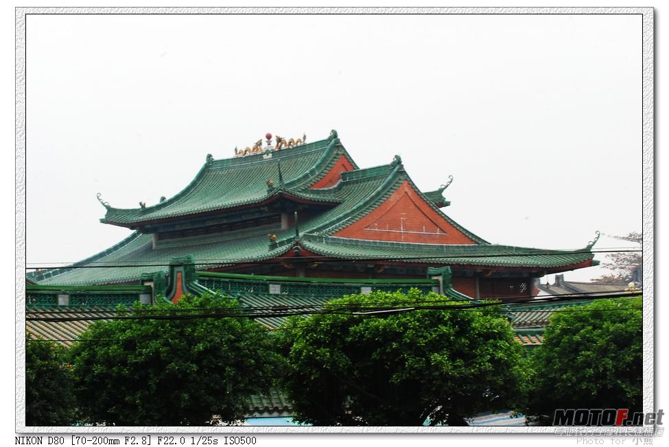 nEO_IMG_DSC_7245.jpg