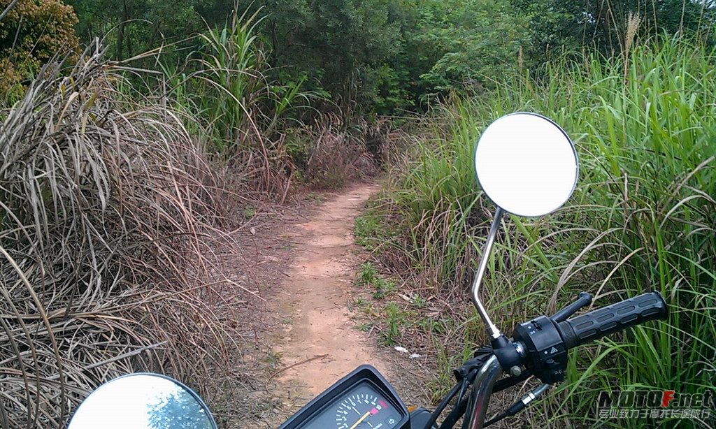 IMAG0072.jpg