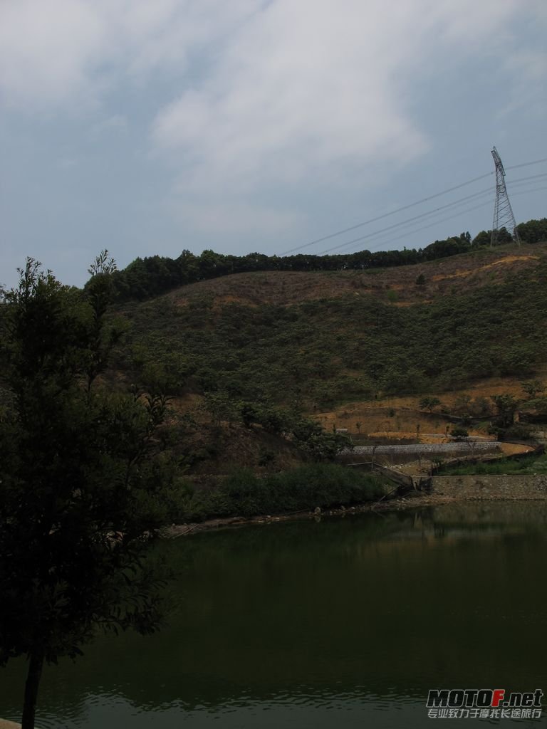 IMG_0824.jpg