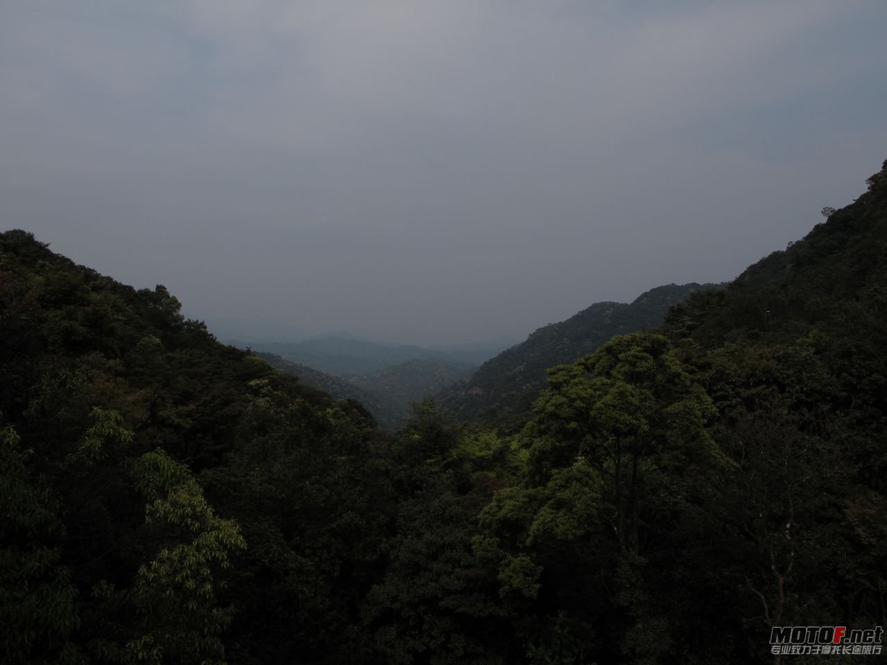 IMG_0877.jpg