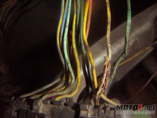 PICT0771.JPG