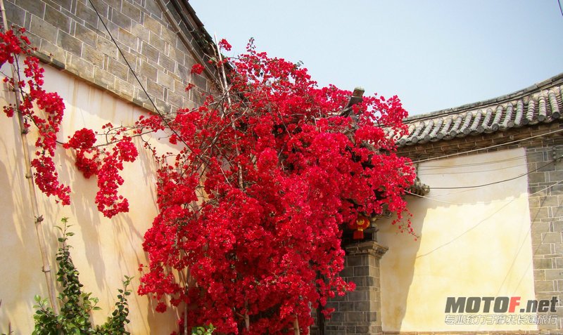 DSC04245.JPG