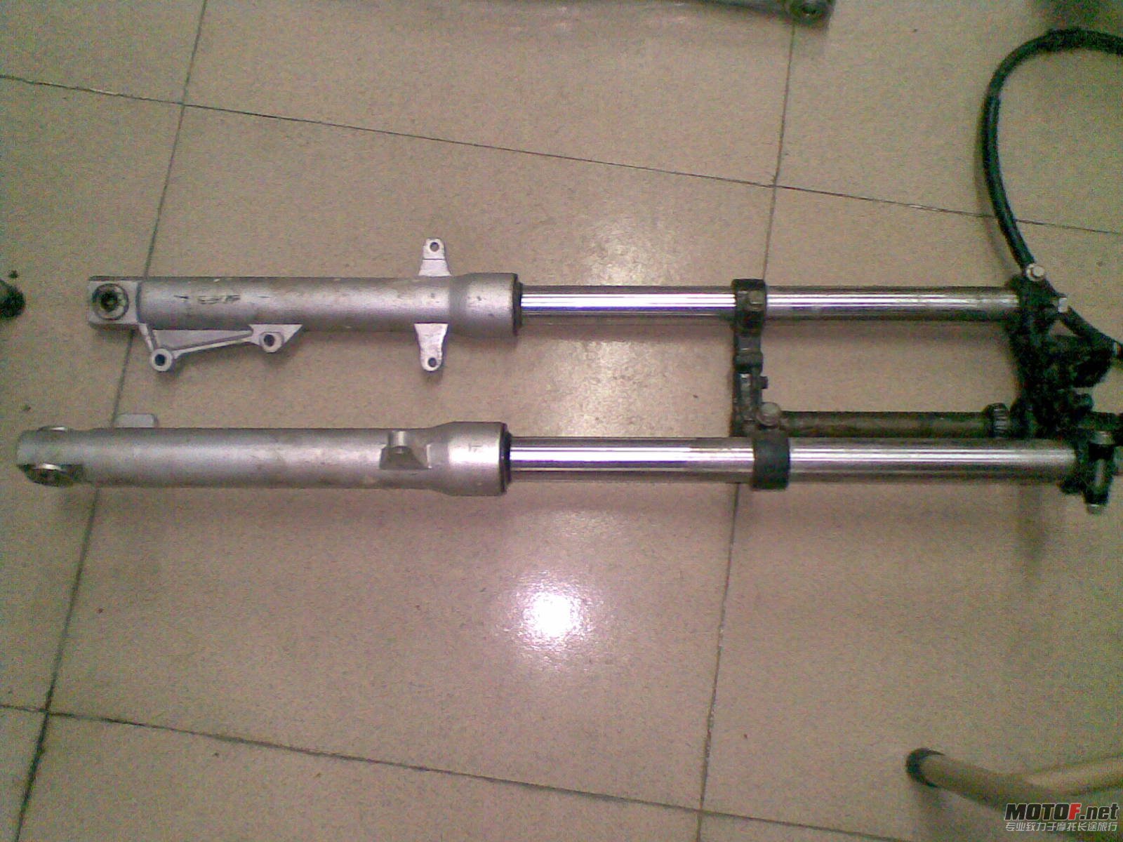 20120406(006).jpg
