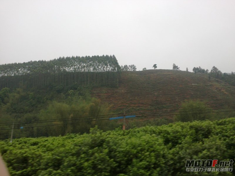 20120406561.jpg