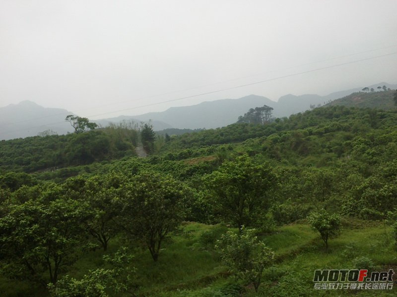 20120406563.jpg