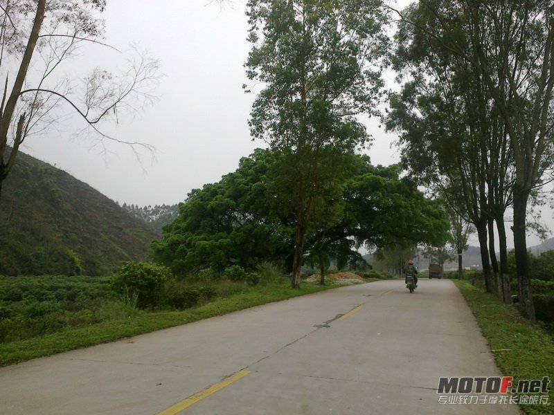 20120406564.jpg