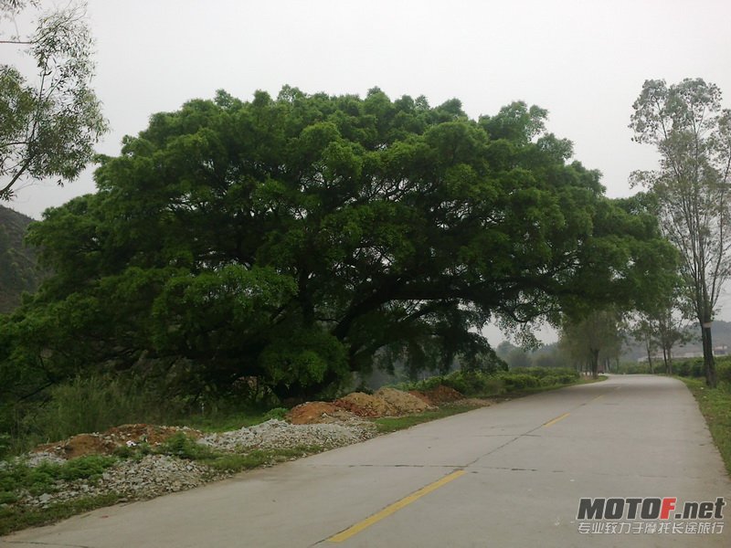 20120406565.jpg