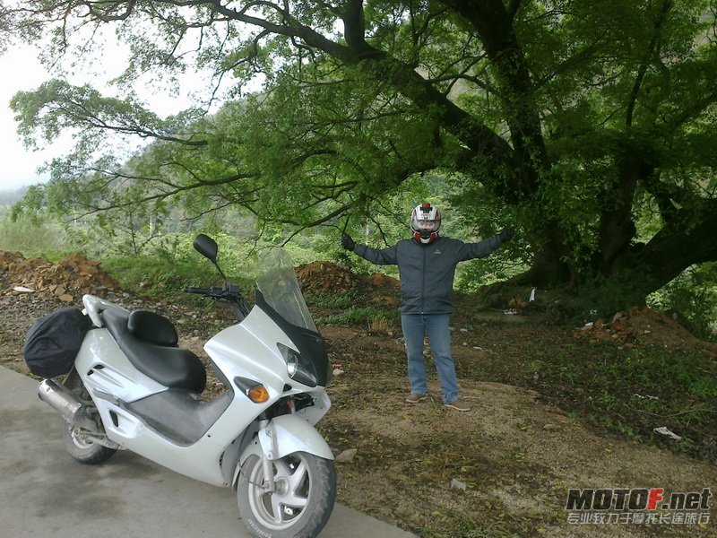 20120406566.jpg
