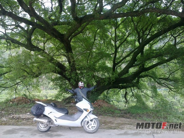 20120406567.jpg
