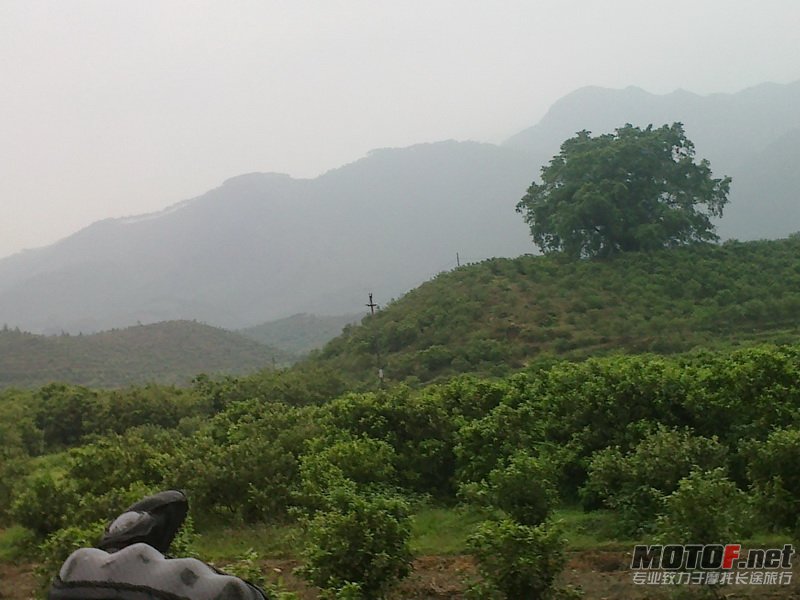 20120406569.jpg