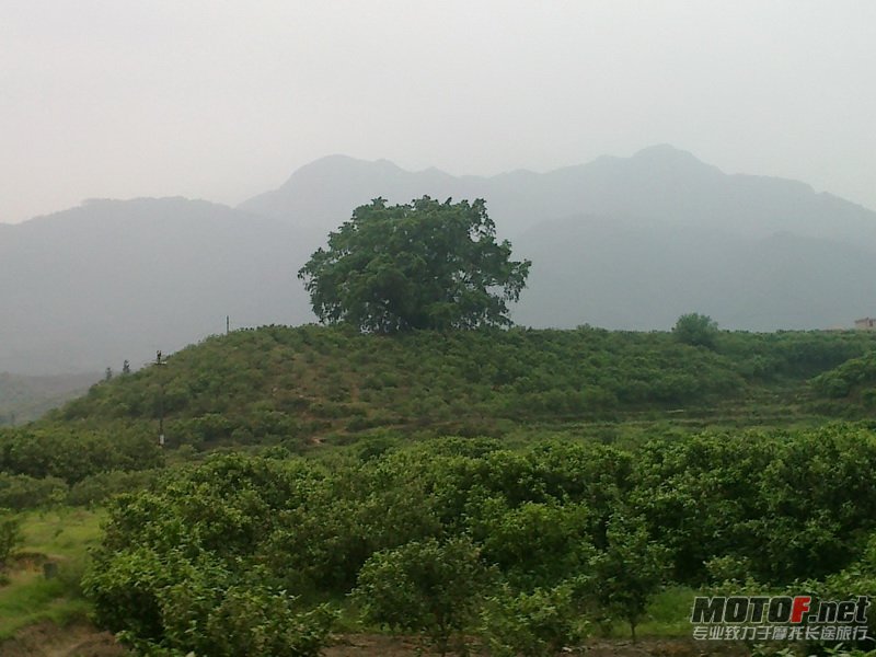 20120406570.jpg
