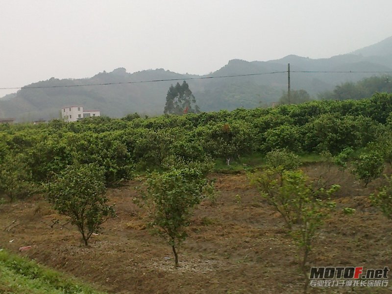 20120406571.jpg