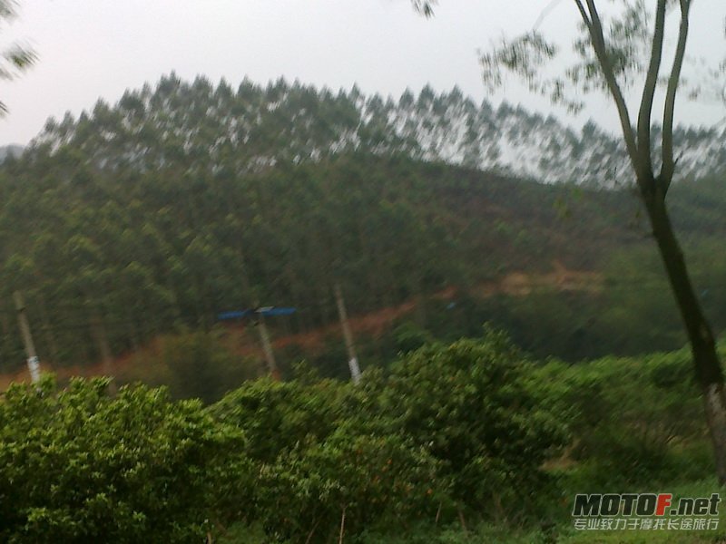 20120406572.jpg