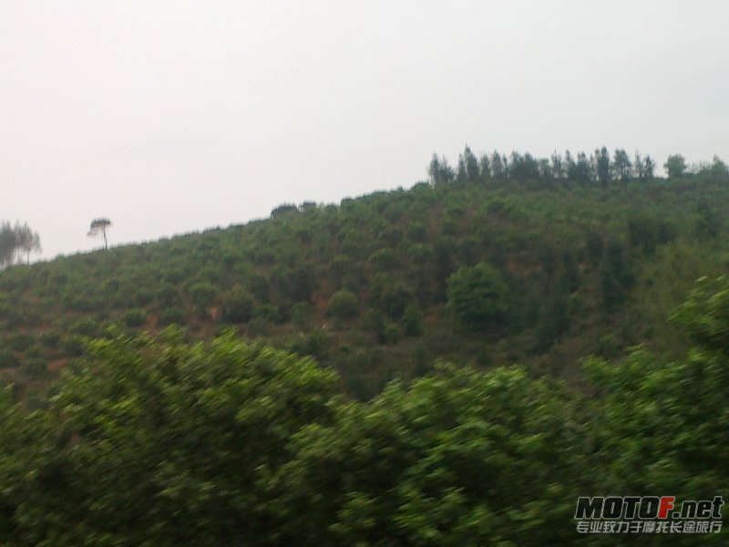 20120406573.jpg