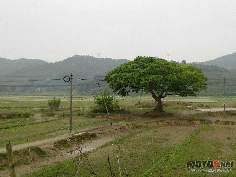 20120406578.jpg