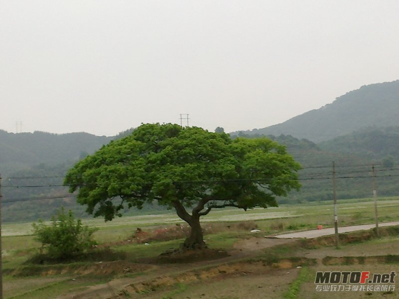 20120406579.jpg