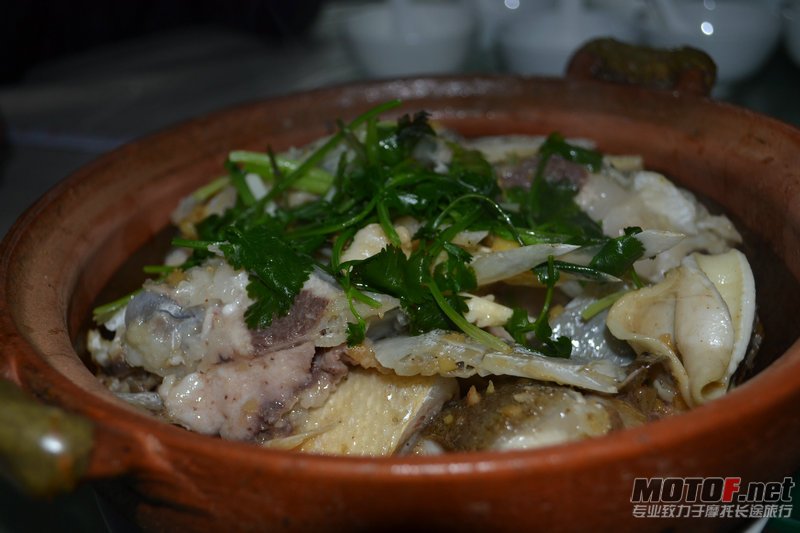 DSC_0265.jpg