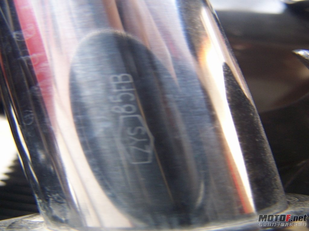 100_4950.JPG