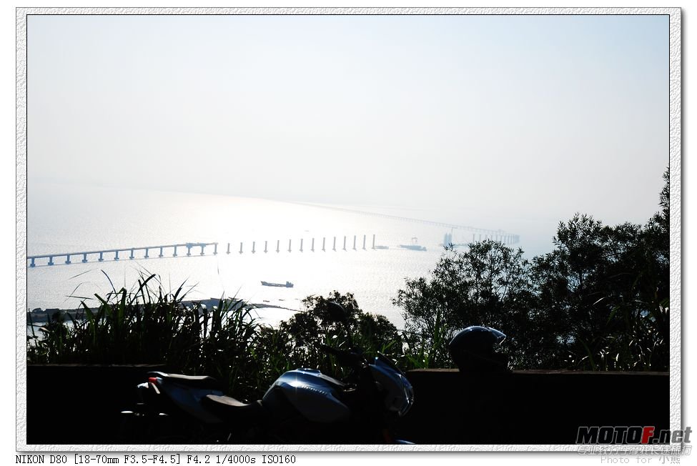 nEO_IMG_DSC_8565.jpg