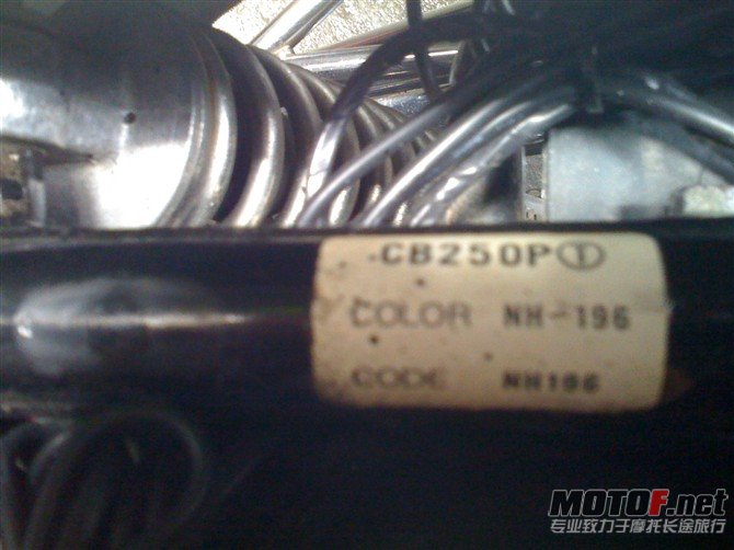 psbCACT1NAF.jpg