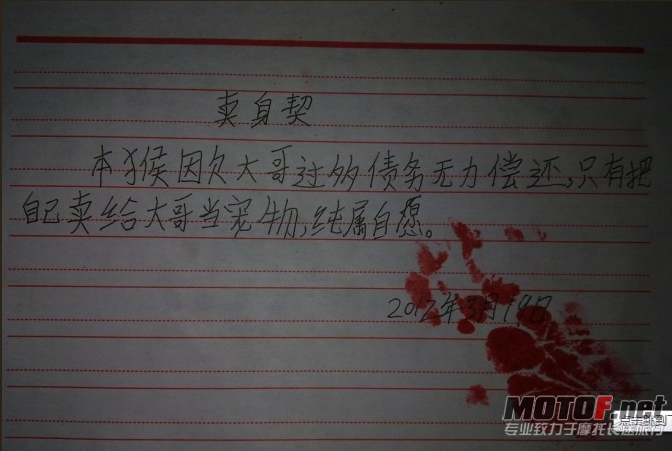 不解释...