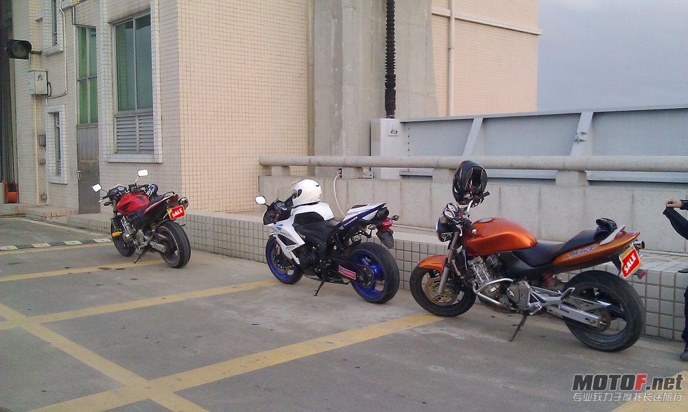 IMAG0041.jpg