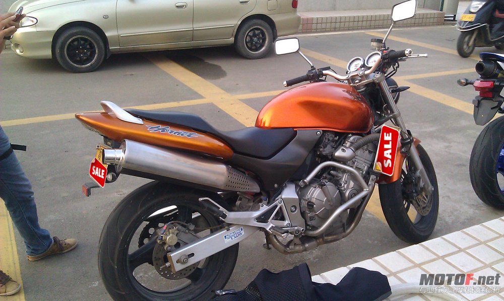 IMAG0049.jpg