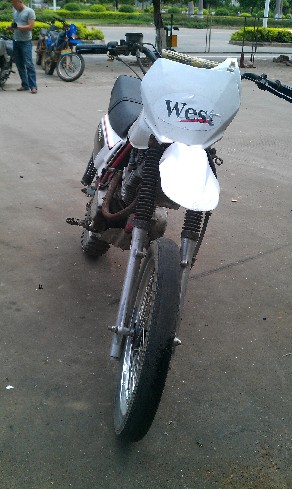 BigBull_IMAG0229.jpg